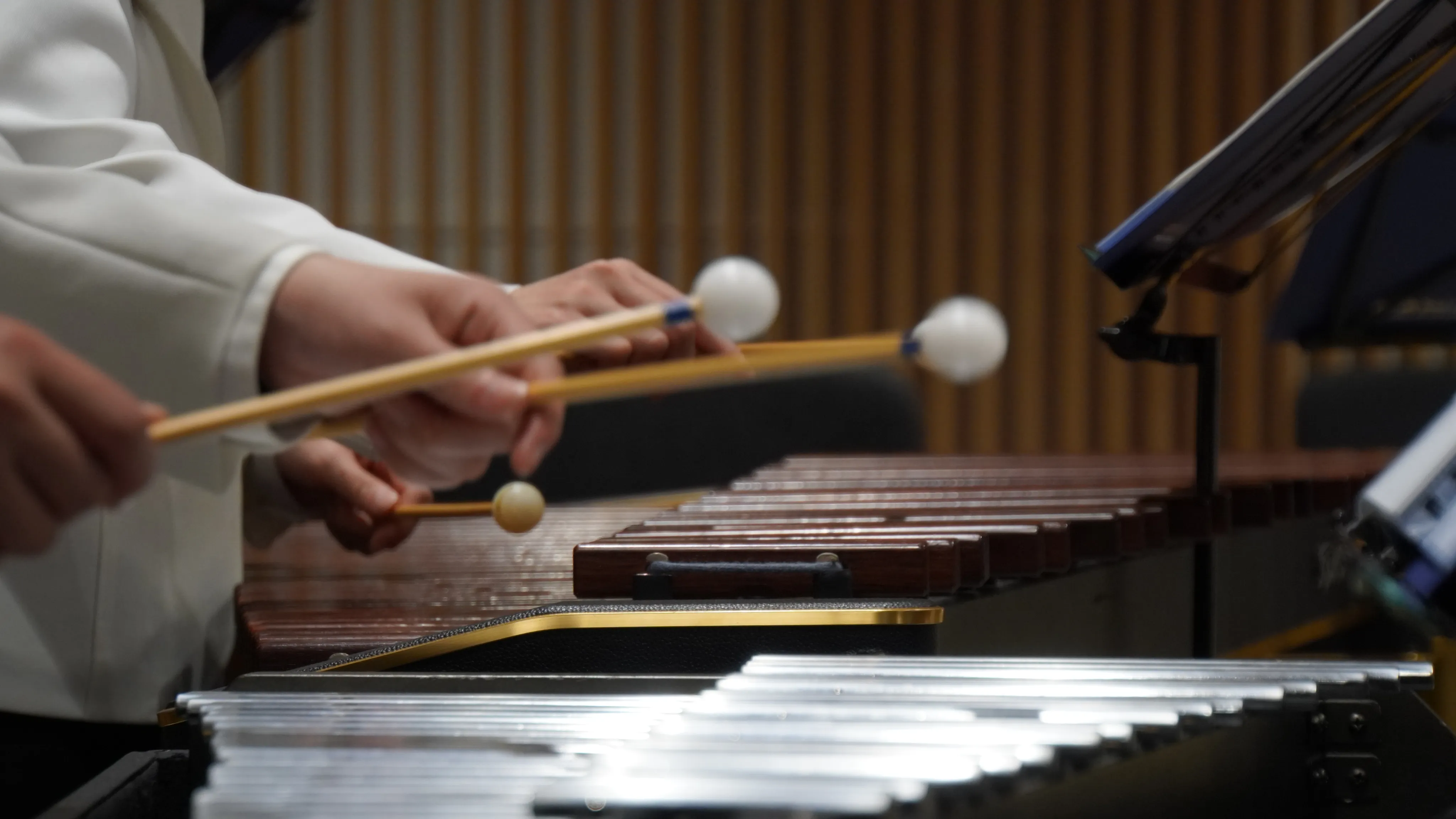 教育・文化活動