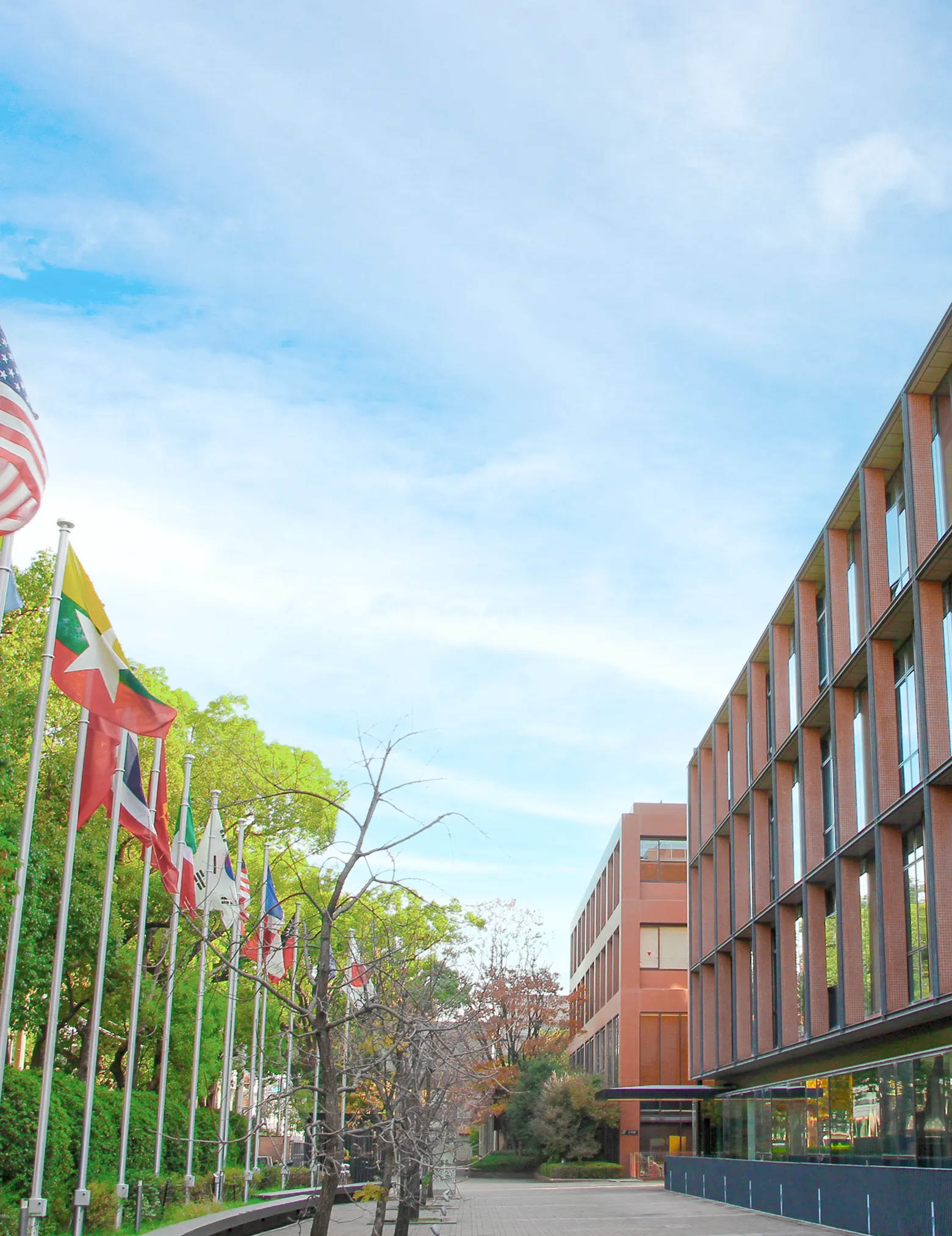 TOP画面メインビジュアル1